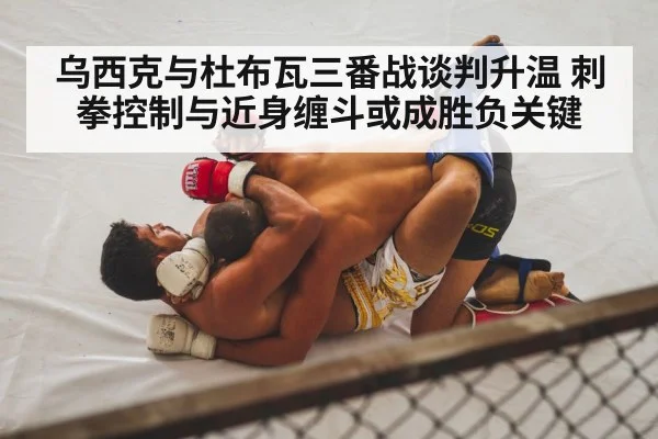 boxing clinch close fight